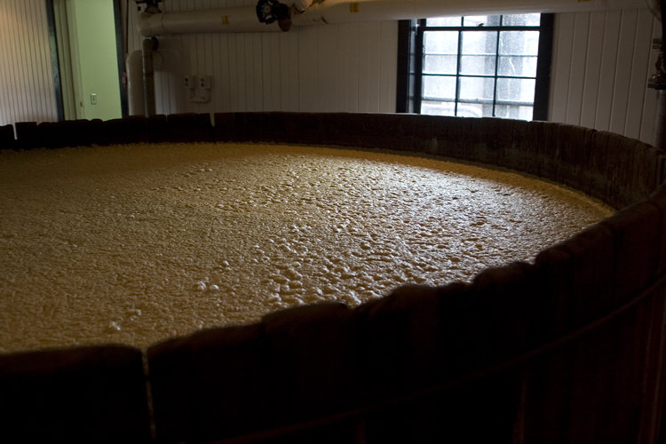 fermentation 2